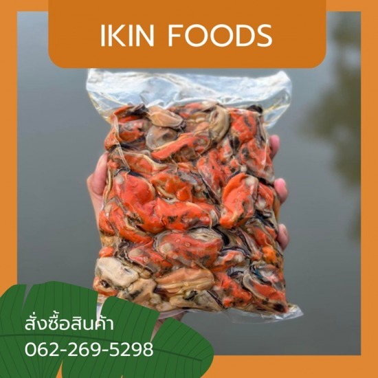 ขายส่งหอยแมลงภู่ต้ม ขายส่งหอยแมลงภู่ต้ม