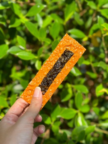 ทาโร่สาหร่าย