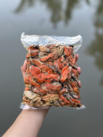 หอยแมลงภู่ต้ม